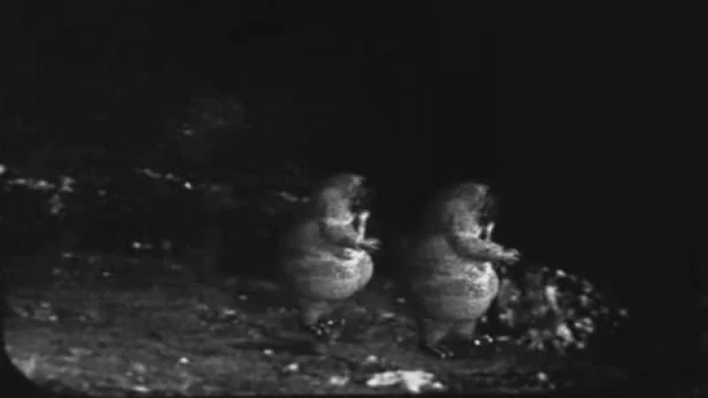 Кадры из сериала Доктор Кто / Классический Доктор Кто (1963)